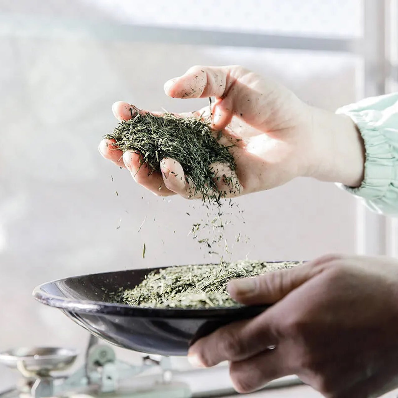 宇治の緑茶 100g 【ケース入数:30】