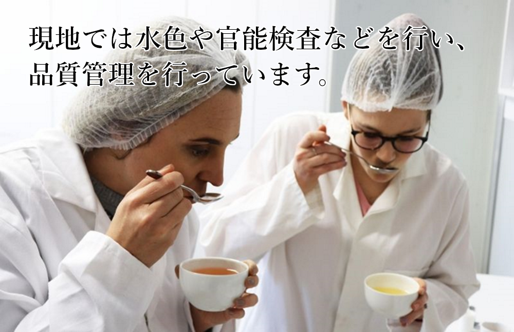 業務用ティーバッグ 大容量 ルイボスティー 10gx100p 煮だし水出し