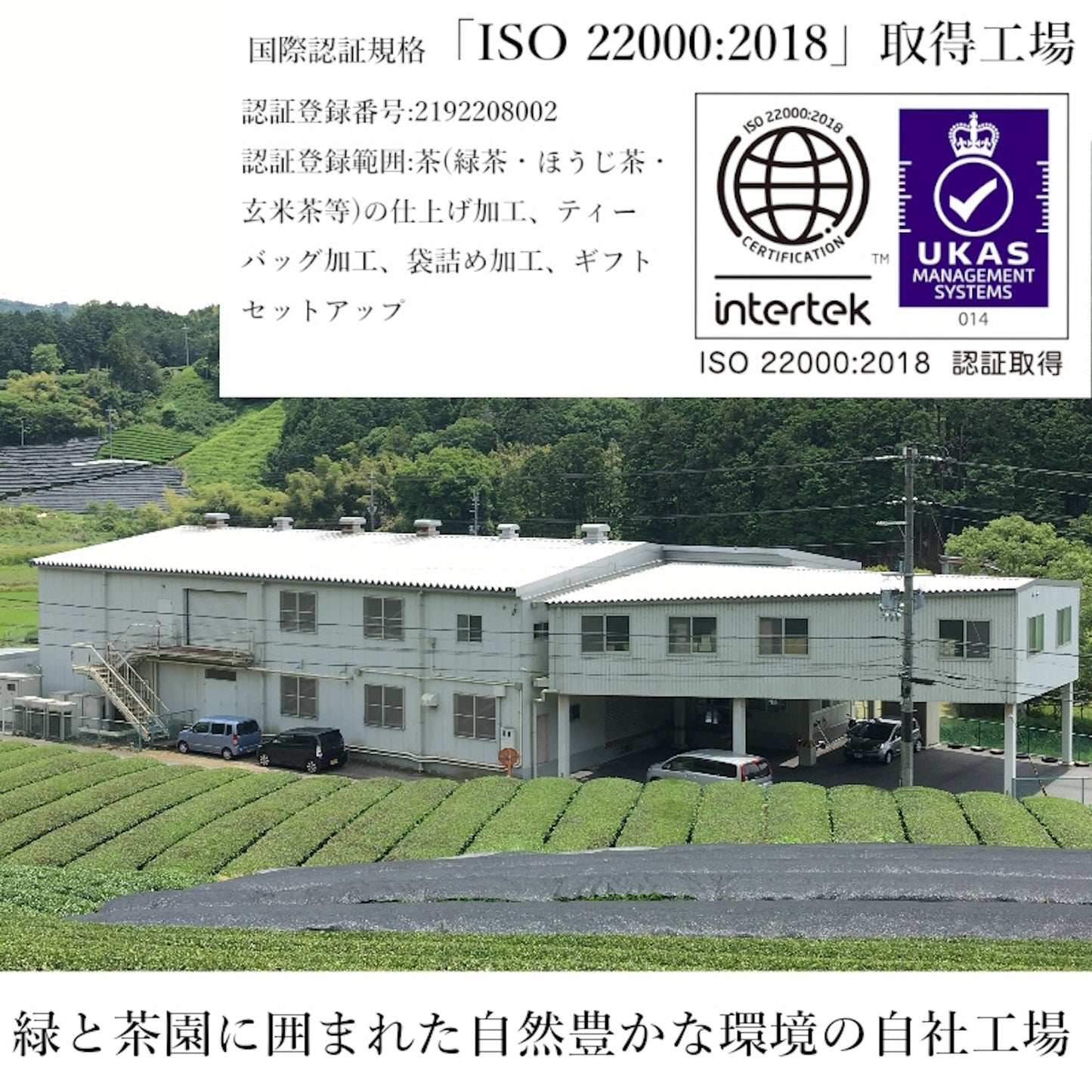 業務用 ティーバッグ 国産ほうじ茶 10g × 100P JP 水出し可 煮出し 兼用 国産 茶葉 使用 焙じ茶 am