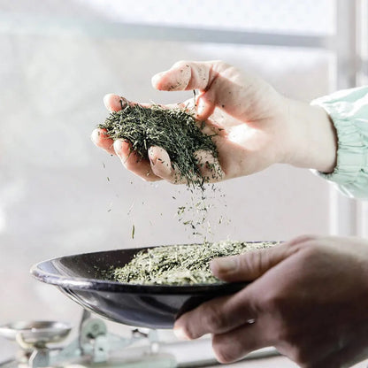 宇治の緑茶　100ｇ　【ケース入数：30】