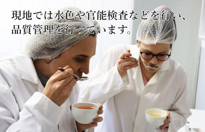 業務用ティーバッグ 大容量 ルイボスティー 10gx100p 煮だし水出し