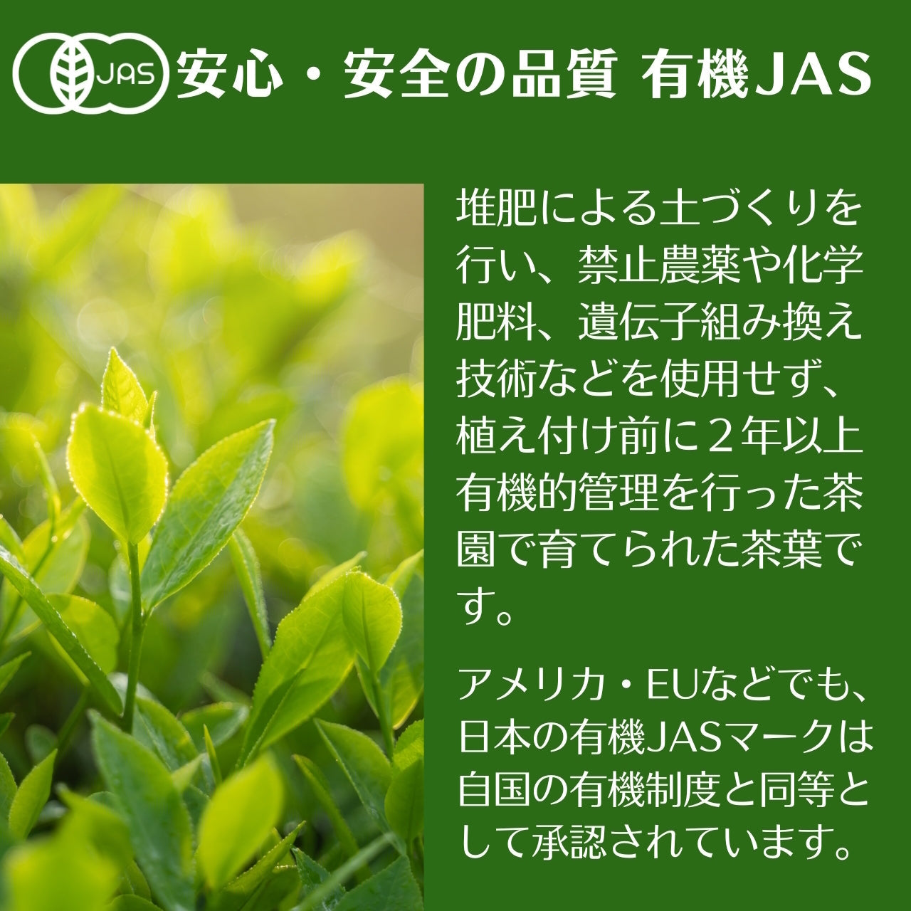 宇治茶有機緑茶ティーパック　15袋　【ケース入数：12】