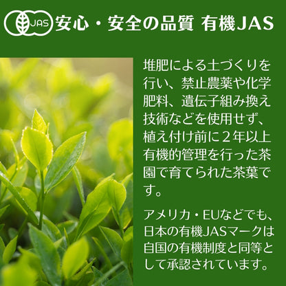 宇治茶有機緑茶ティーパック　15袋　【ケース入数：12】