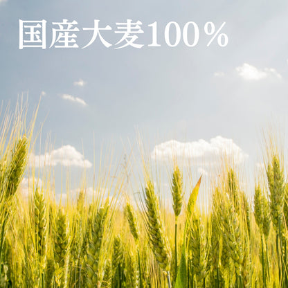 業務用ティーバッグ 大容量 10gx100p 水だし煮出し兼用 (国産麦茶JP) 六条大麦使用　【ケース入数：10】