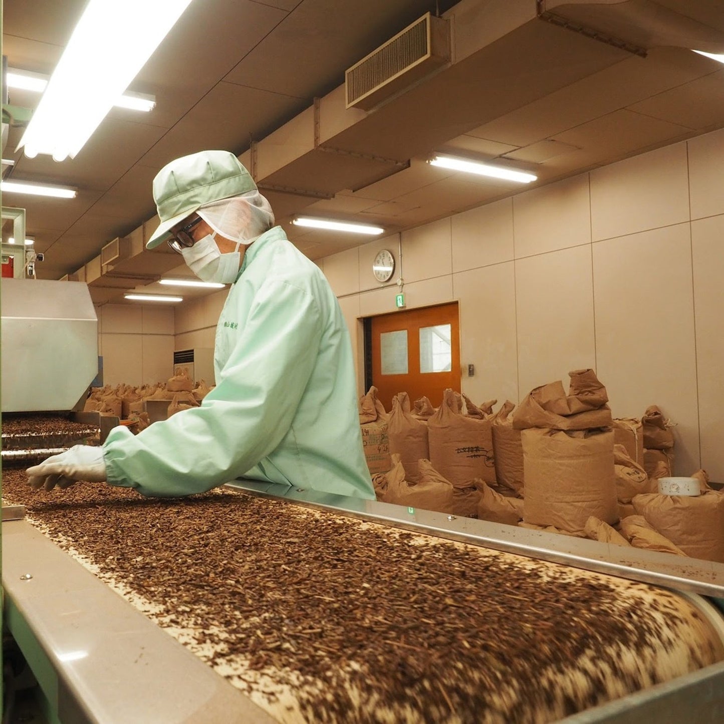 業務用 ティーバッグ 国産ほうじ茶 10g × 100P JP 水出し可 煮出し 兼用 国産 茶葉 使用 焙じ茶  am