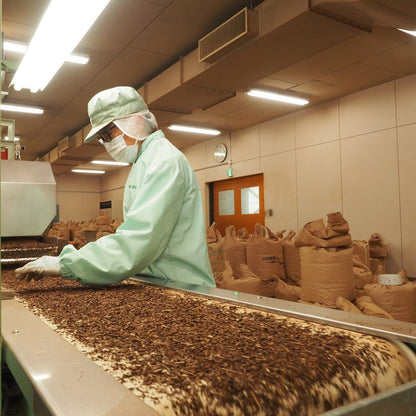 業務用 ティーバッグ 国産ほうじ茶 10g × 100P JP 水出し可 煮出し 兼用 国産 茶葉 使用 焙じ茶  am