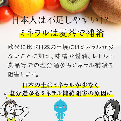 黒部麦茶ティーバッグ　40袋　【ケース入数：10】