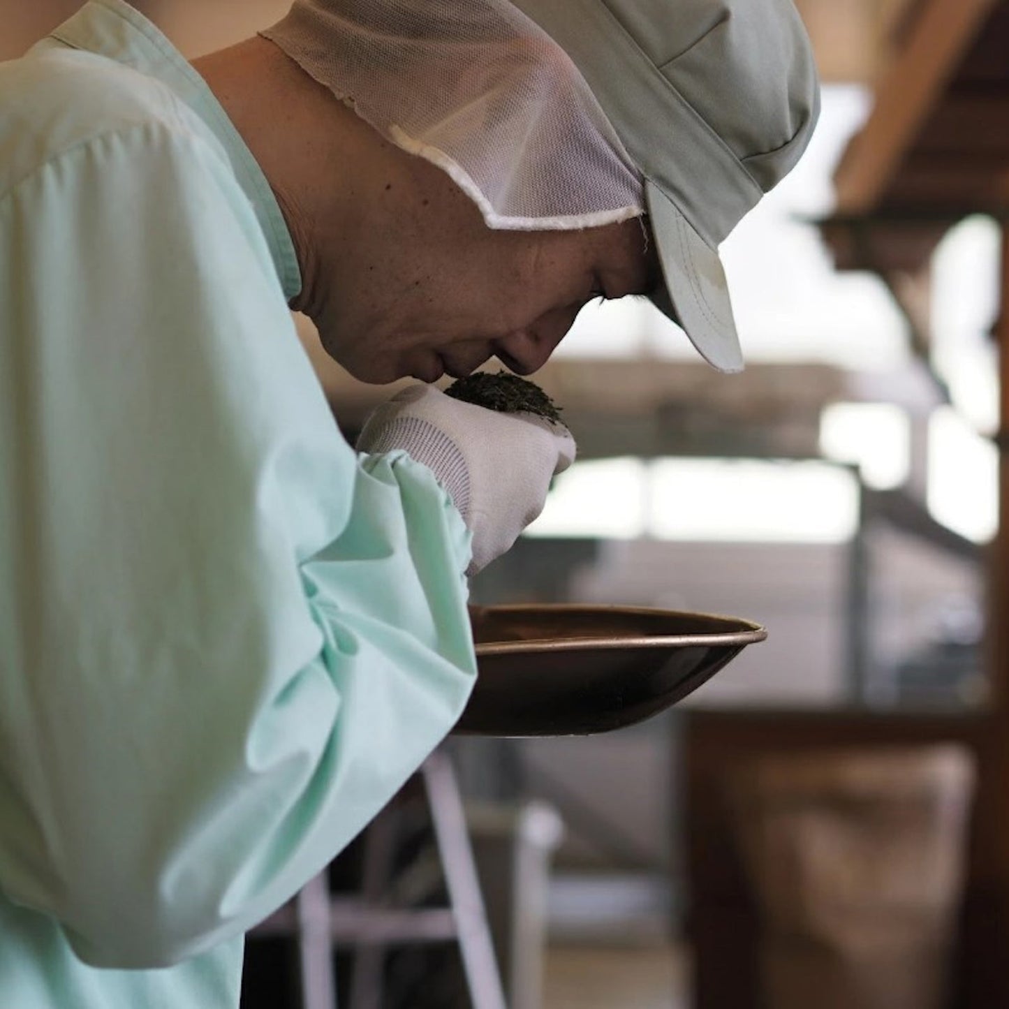 業務用ティーバッグ 大容量 10gx100p 水だし煮出し兼用 (国産煎茶　京都工場)　【ケース入数：10】