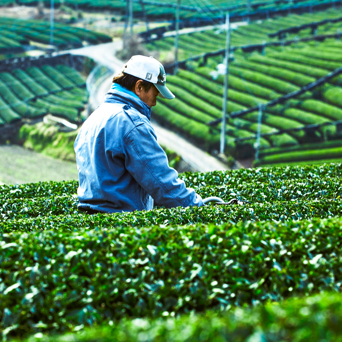 宇治茶一番ほうじ茶　100ｇ　【ケース入数：30】